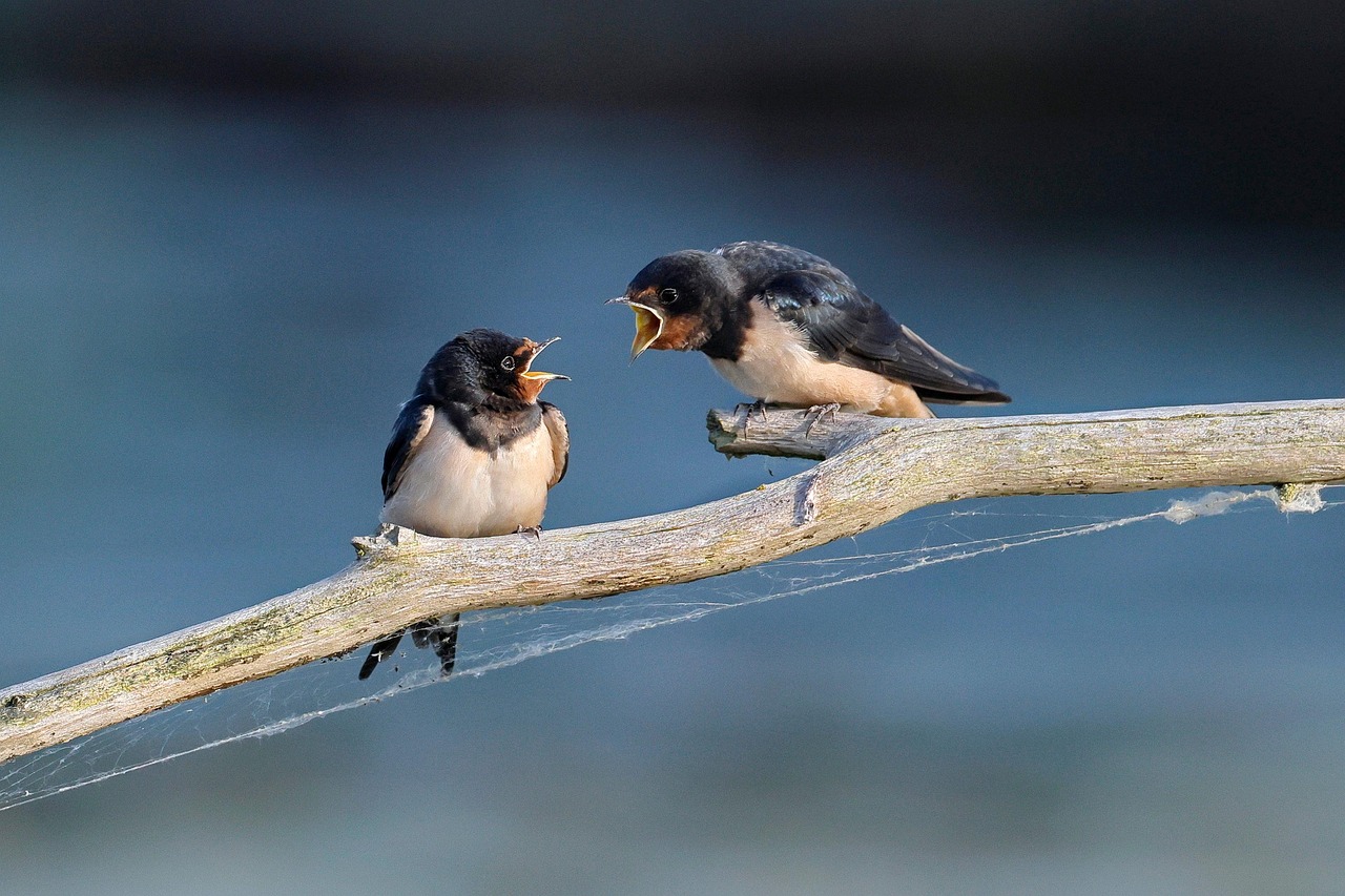 learn effective strategies to navigate difficult conversations with confidence and empathy. improve communication skills and resolve conflicts smoothly.
