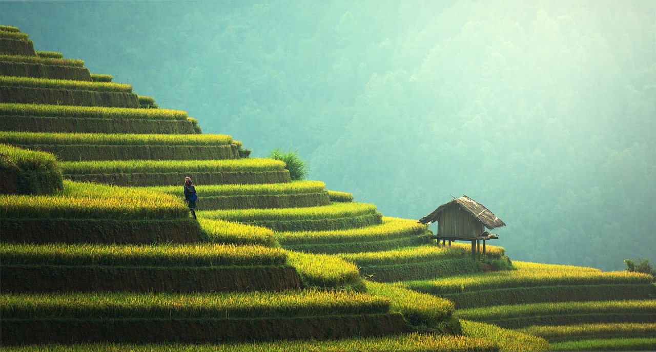 What Impact Will Sustainable Business Practices Have on Profitability?