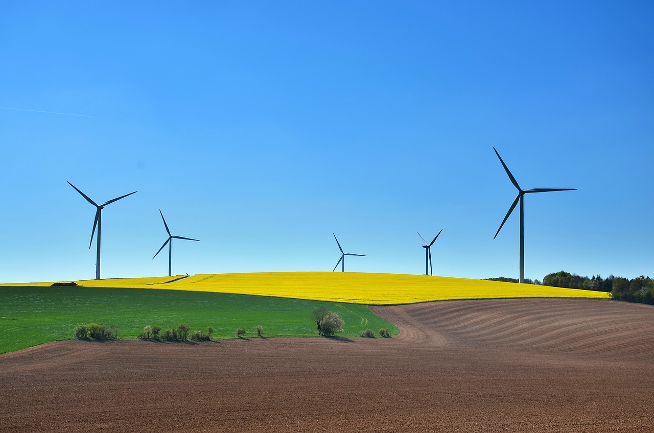 discover effective sustainable business practices that promote environmental responsibility, enhance brand reputation, and drive profitability. learn how to integrate eco-friendly strategies into your operations for a brighter, greener future.