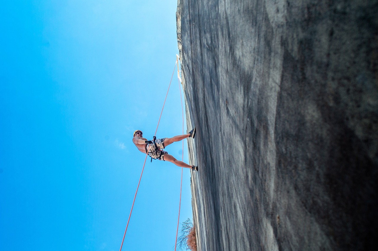 discover the true meaning of resilience and learn how to overcome life's challenges with strength and determination. explore tips, stories, and strategies to build your resilience and thrive in difficult times.