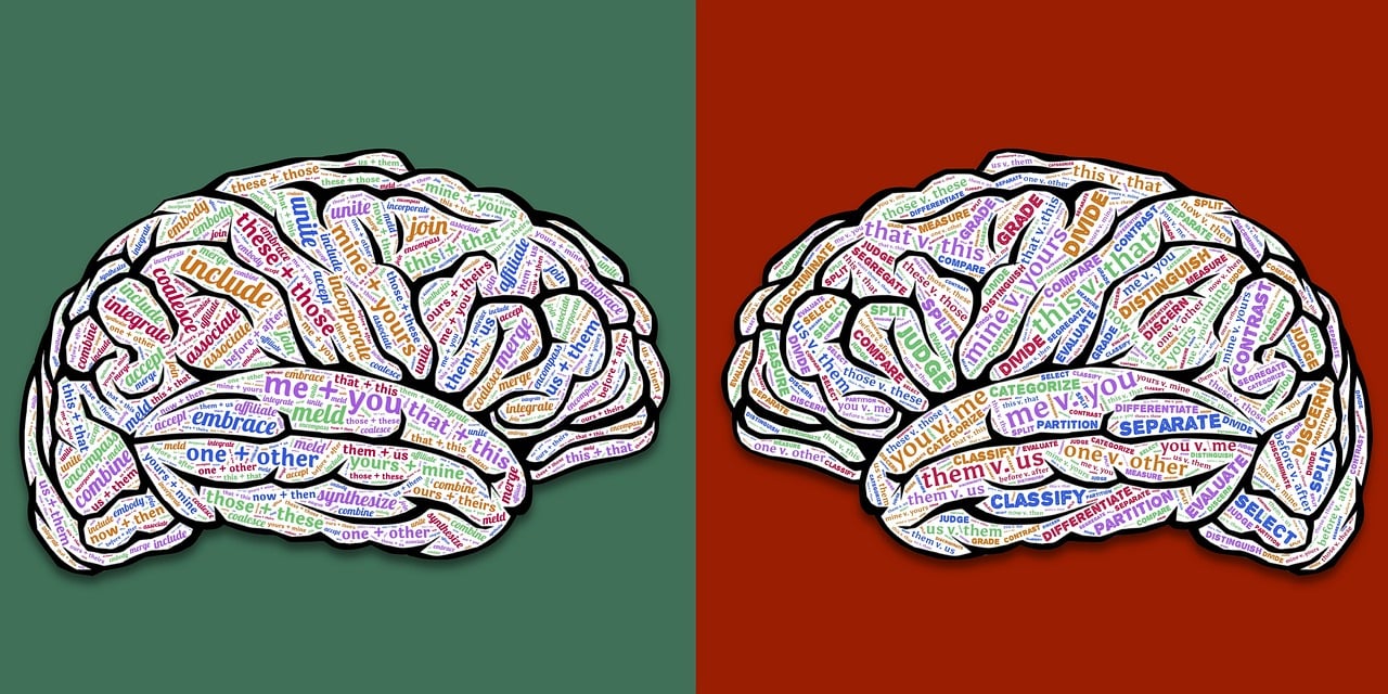 learn everything about business incorporation: steps, benefits, legal requirements, and tips for successfully incorporating your company.