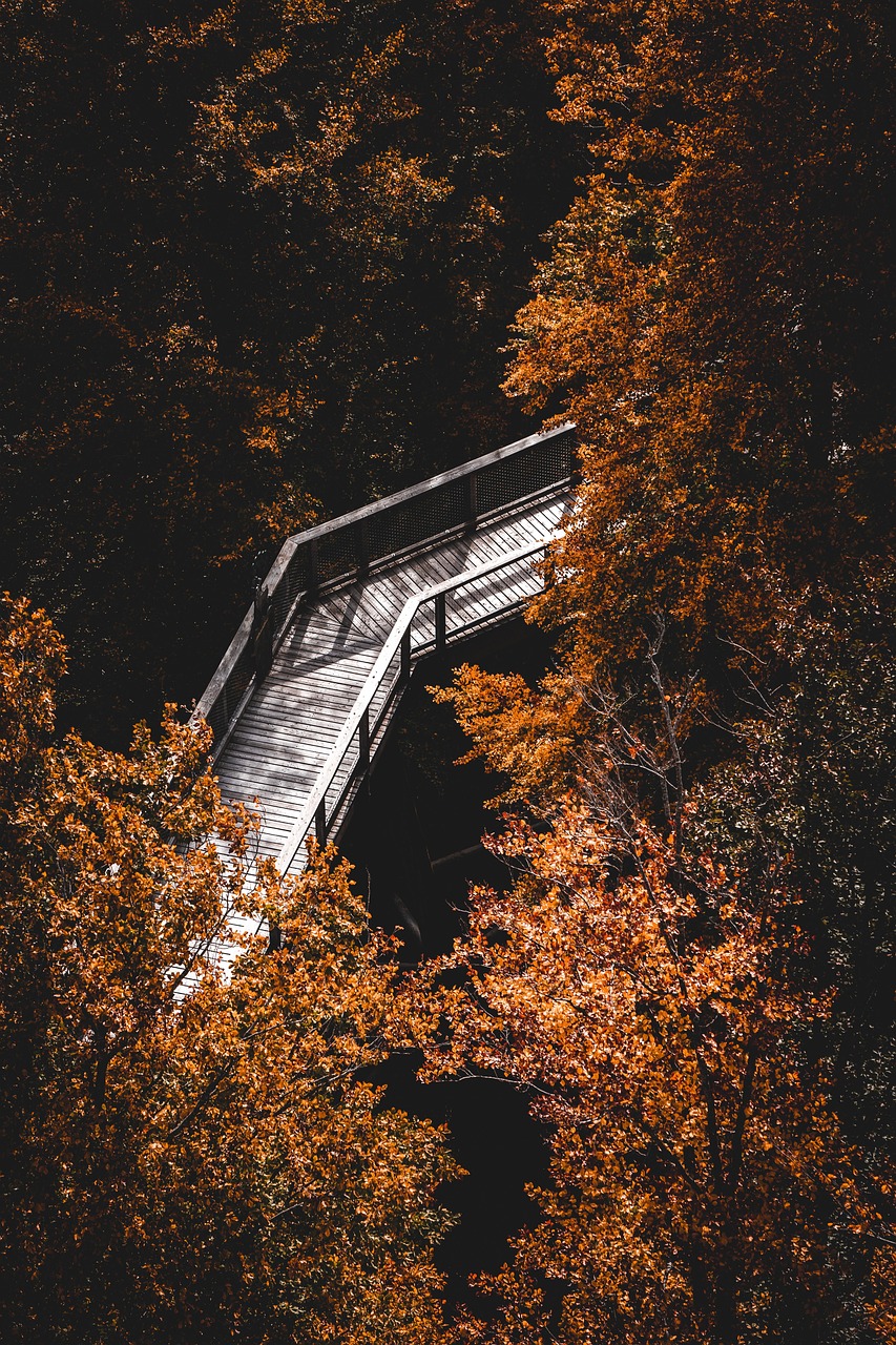 explore the causes, effects, and coping strategies for loneliness to better understand and overcome feelings of isolation.