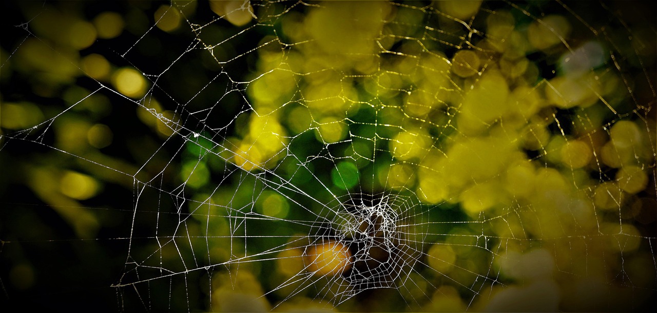 discover proven strategies and tips for effective networking to build valuable connections and advance your career.